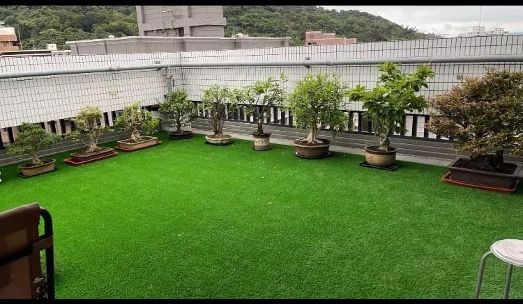 空中花園．露台草皮